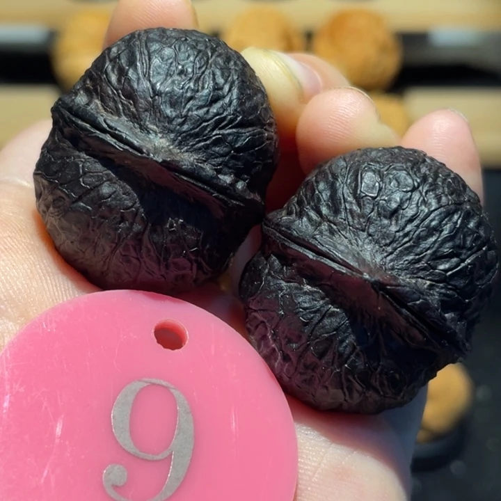 老***怪龙珠34尺寸核桃。