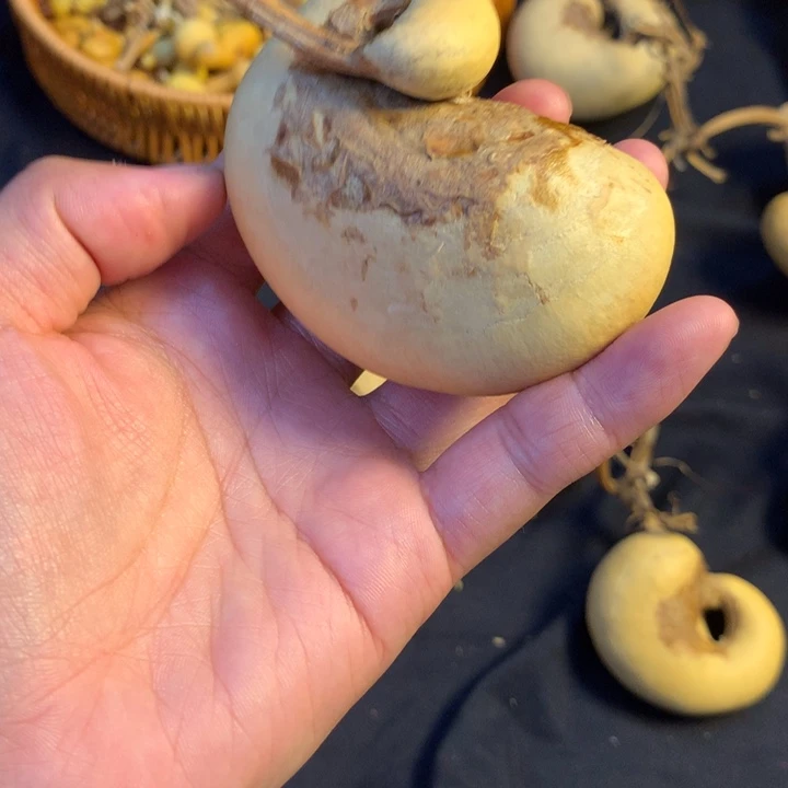 山***.银S925葫芦葫芦葫芦葫芦