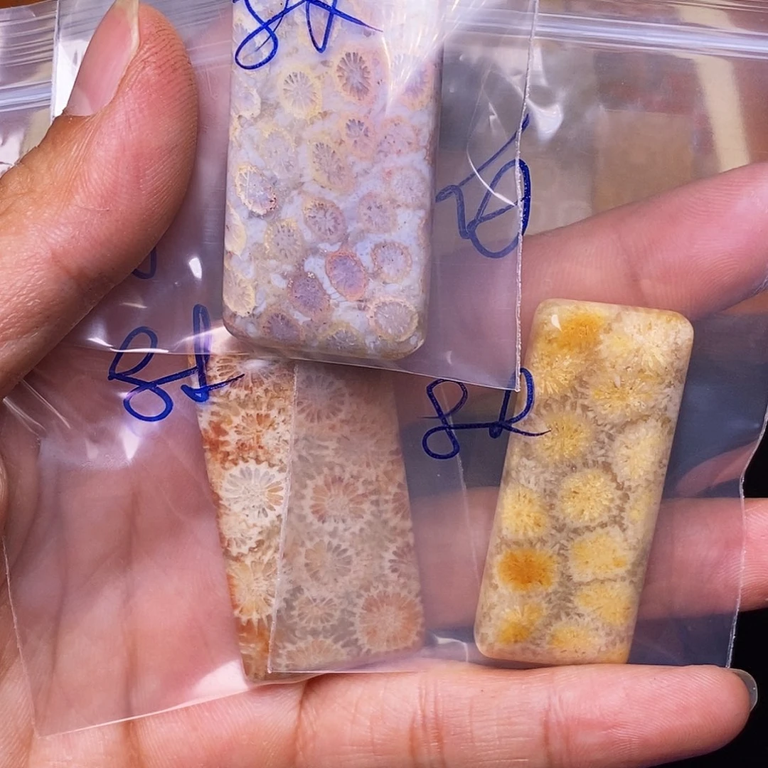 白***柏硅化玉合金珊瑚玉