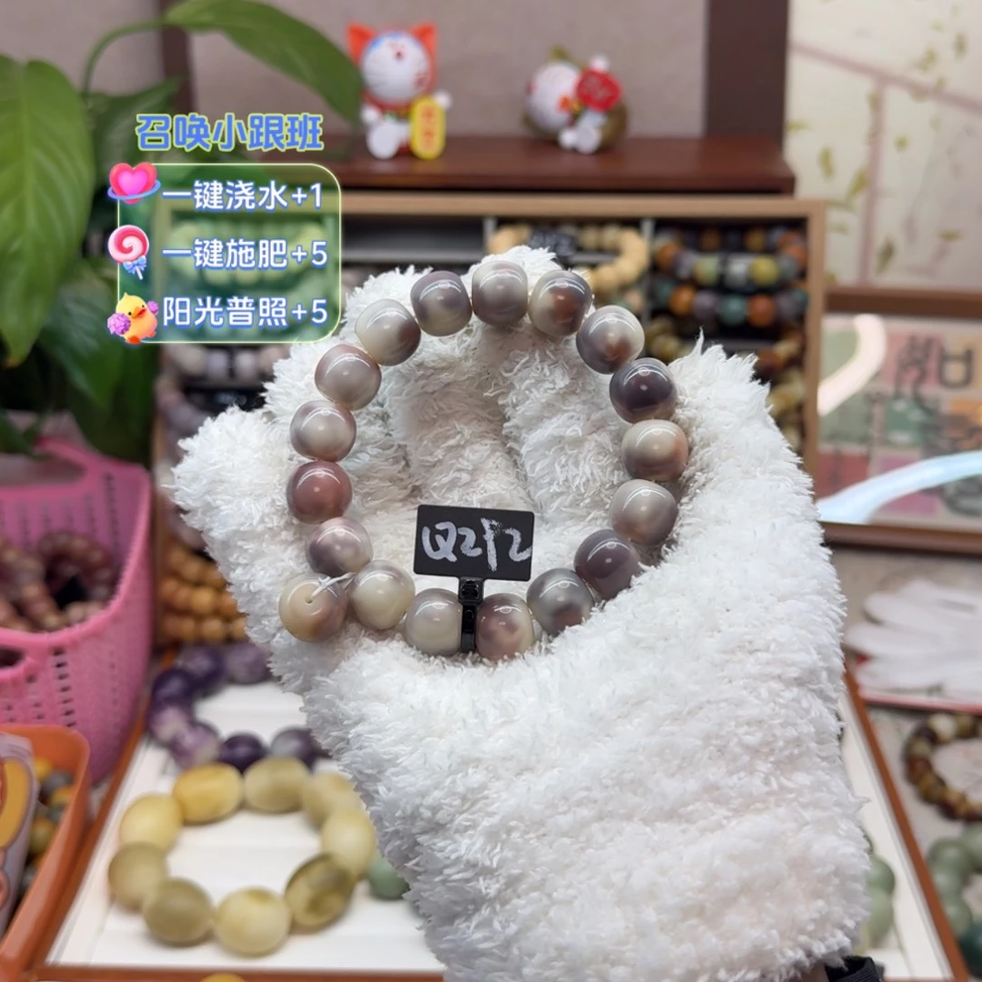 吊坠菩提根/象牙果紫美人292