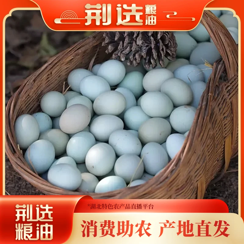 【蛋财记】绿壳山林散养土鸡蛋新鲜初生蛋30枚散养新鲜土鸡蛋