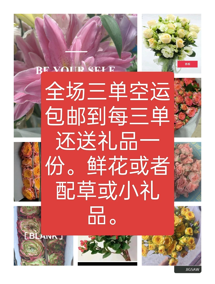 粉色白色玫瑰昆明基地直发完美主义无拍百分之十不售后