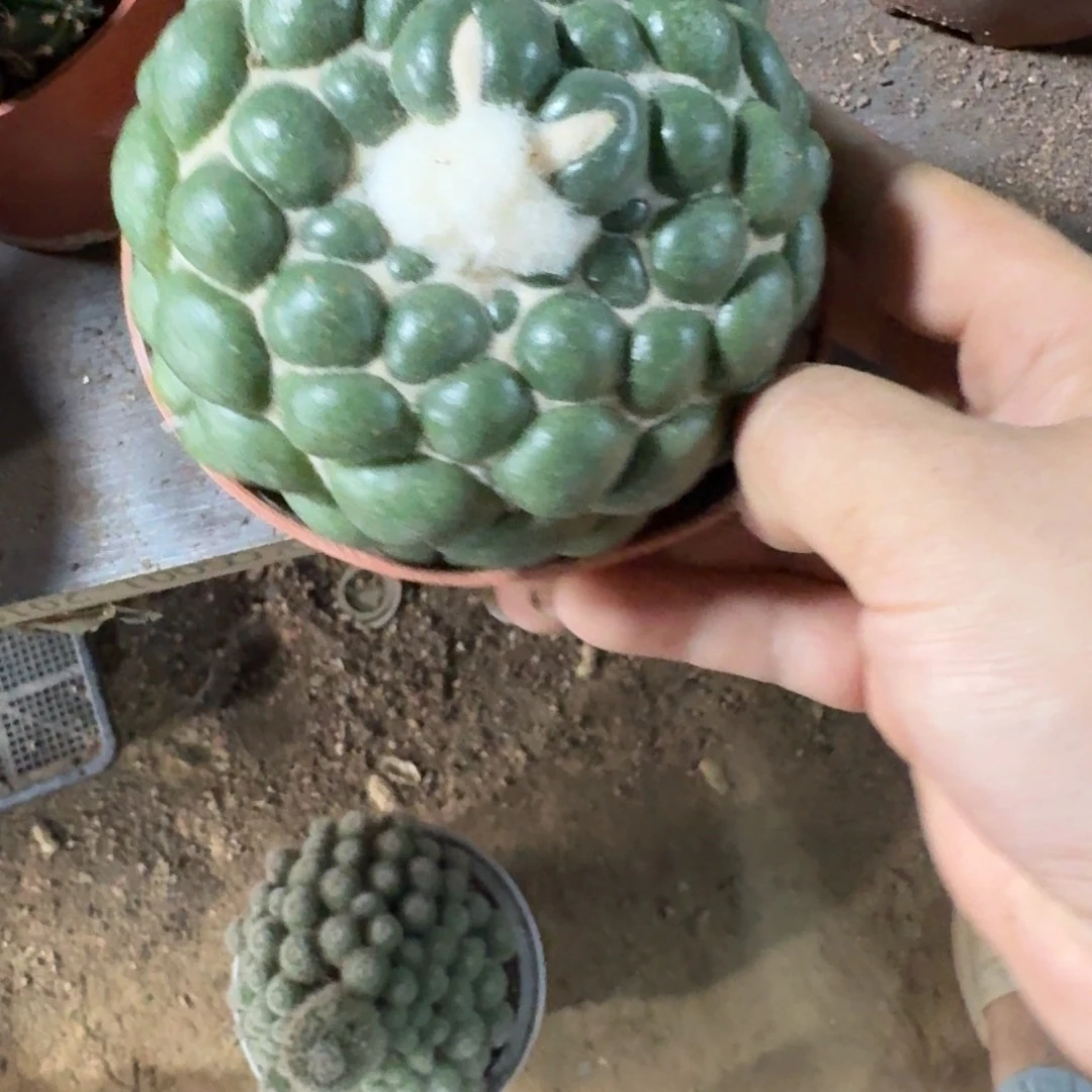 一***️存到-89元。