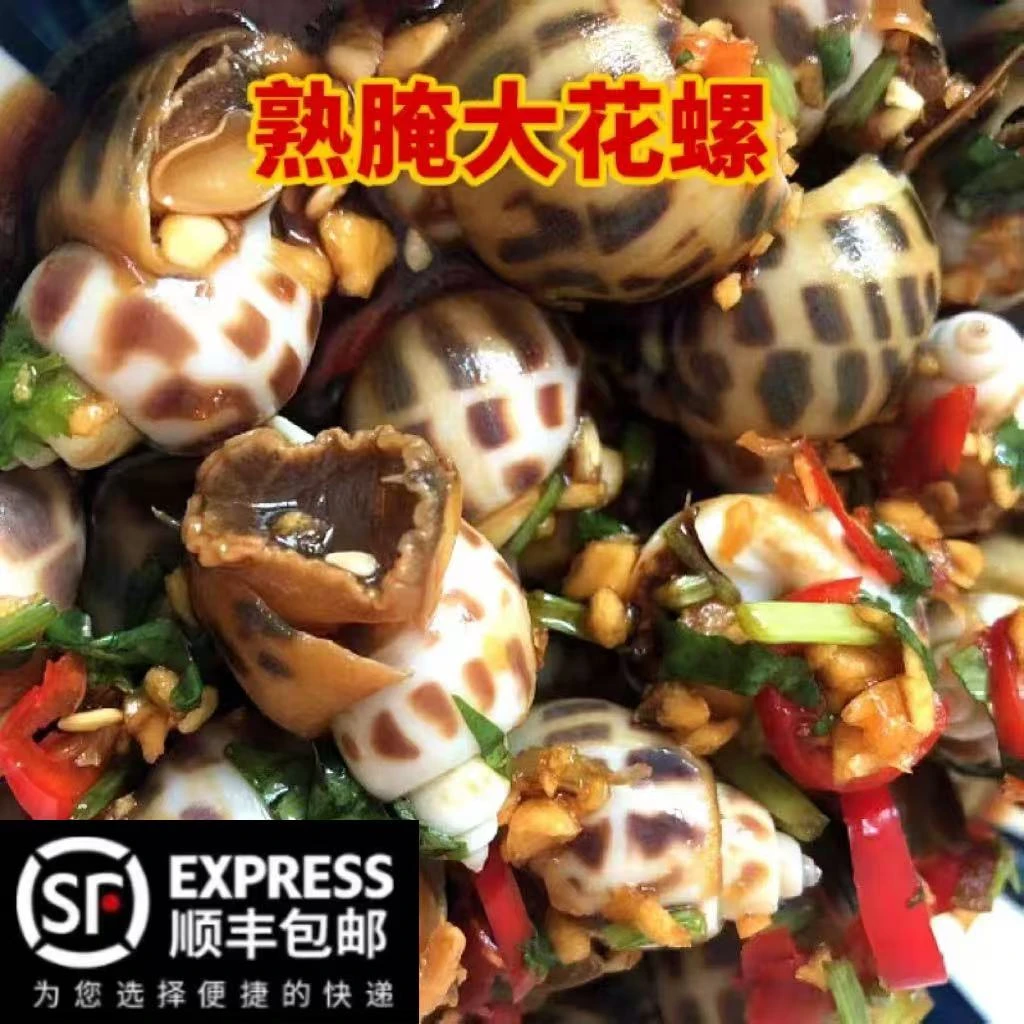 潮汕生腌海鲜熟腌花螺东风螺海螺腌制水产海猪螺网红腌螺