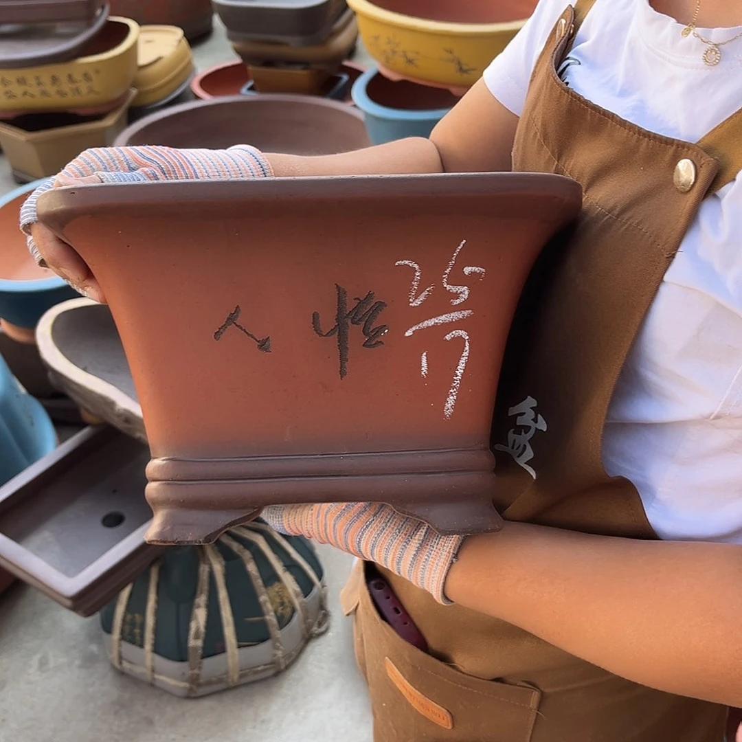 紫砂花盆盆景艺术