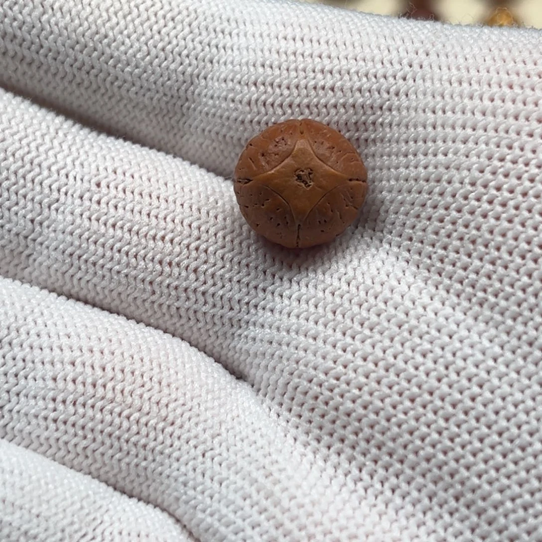 —***—手串凤眼菩提13实心麒麟