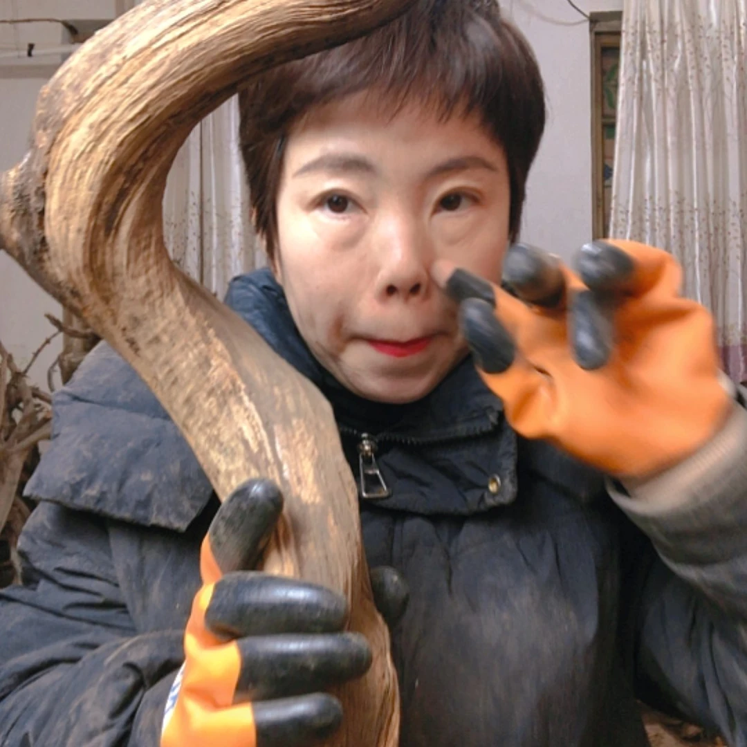 【闪购商品】香榧木《*》11111111111