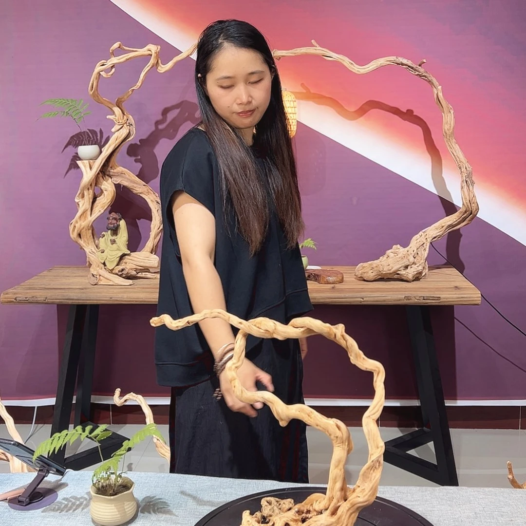 鹭***编天然杜鹃根根艺摆件