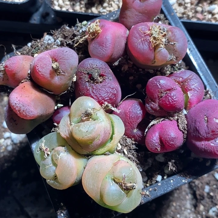 27346有伤一组一组