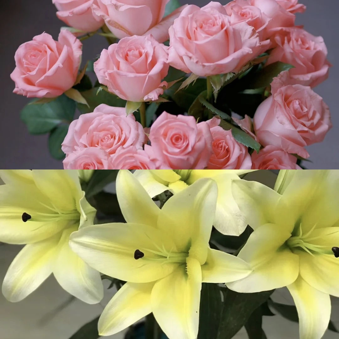 [二丫卖花]百合（黄天霸）玫瑰组合 居家办公优选  （东北基地直发）