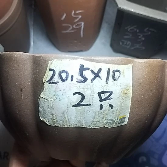 南瓜两个紫砂花盆