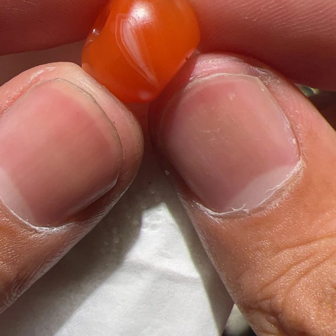 香榧木在家了一个小时