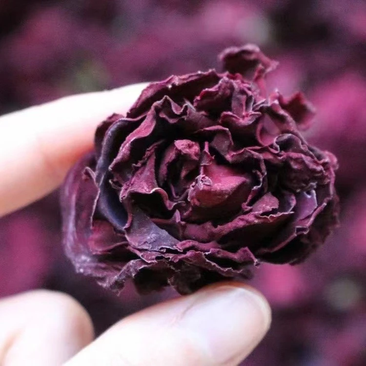 【御膳】墨红玫瑰 广东汕头