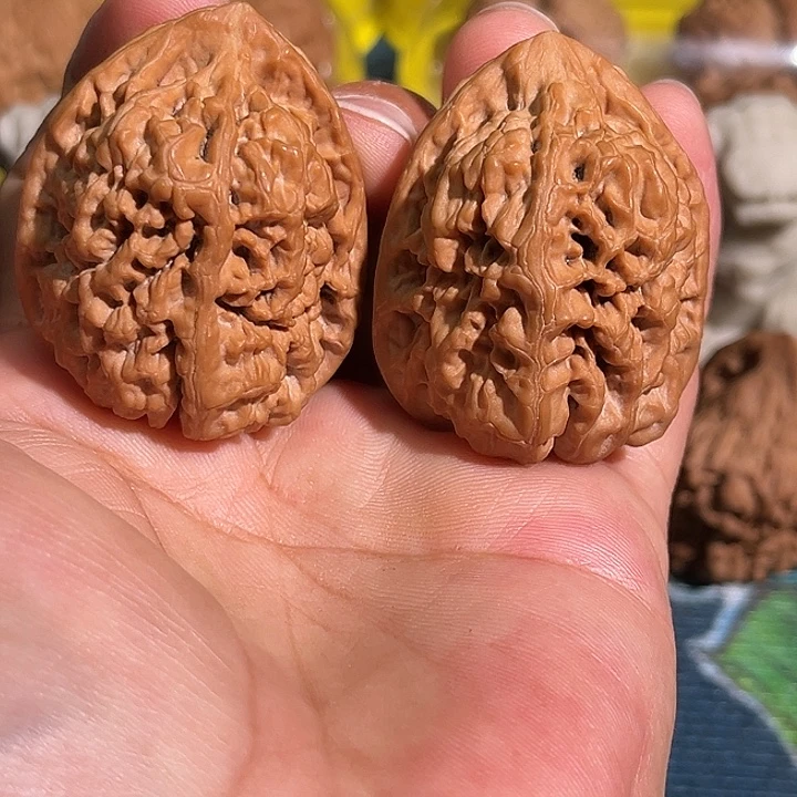 核桃老树红皮兵马俑大高装