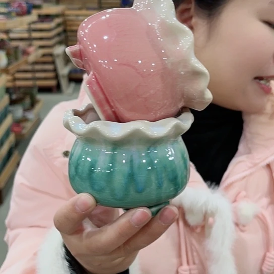 红陶直播间已有一年