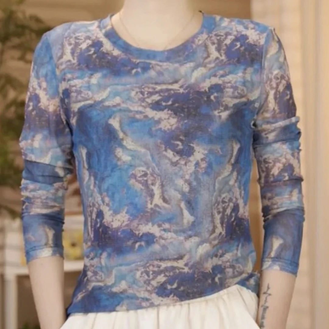 流金岁月时尚高级感气质透气长袖网纱印花休闲时尚圆领T恤女C2170