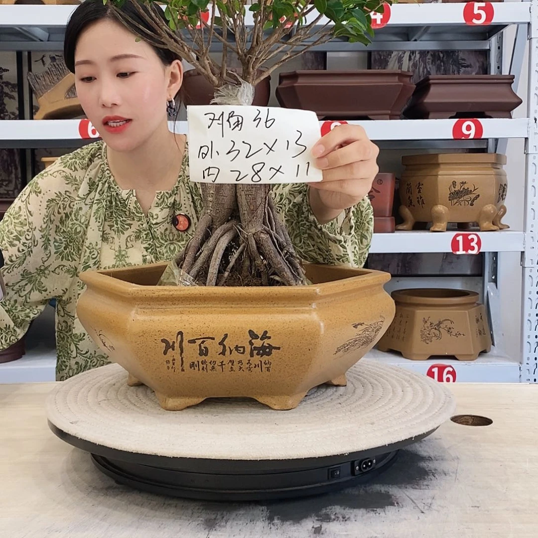 紫砂花盆紫砂花盆