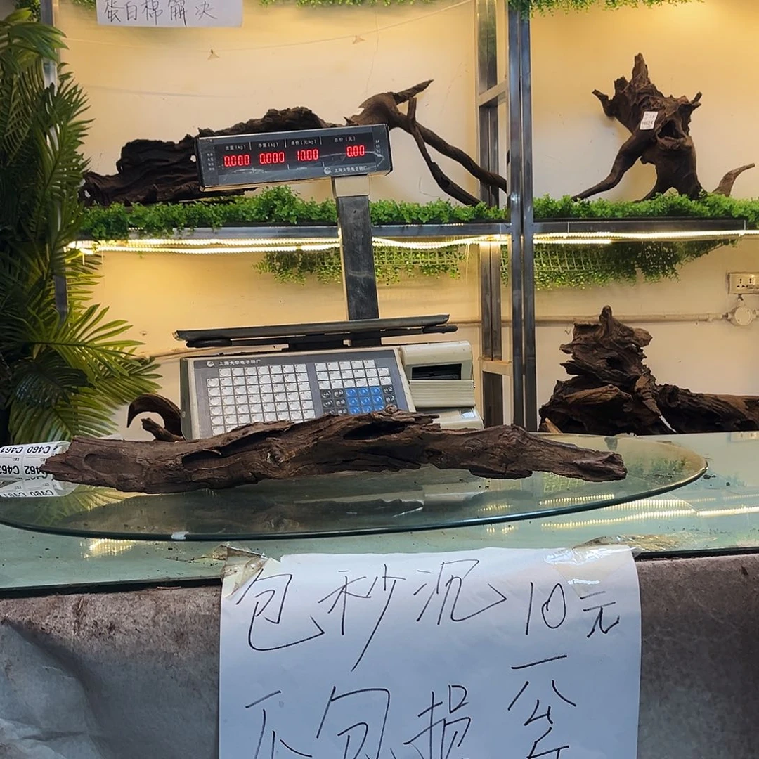 柚木飞*沉木鱼缸造景