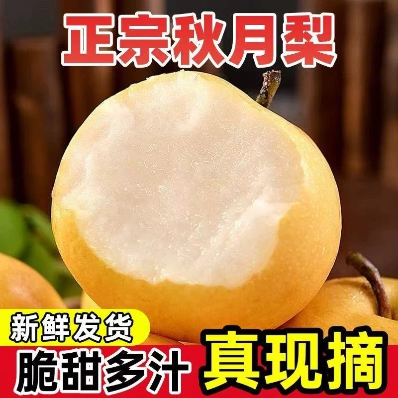 【顺丰快递】正宗秋月梨现摘现发脆甜多汁薄皮应季新鲜水果