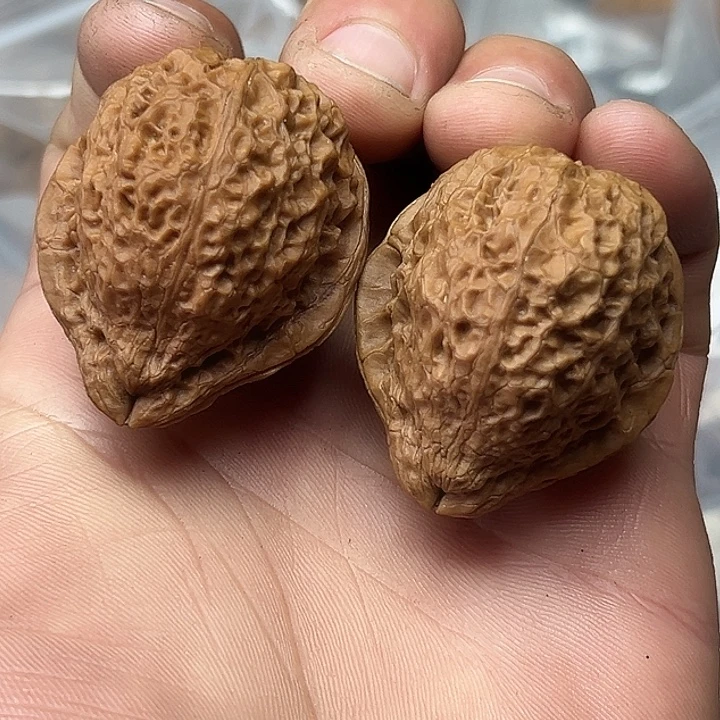 把件文玩核桃40号金嘴寿桃38尺