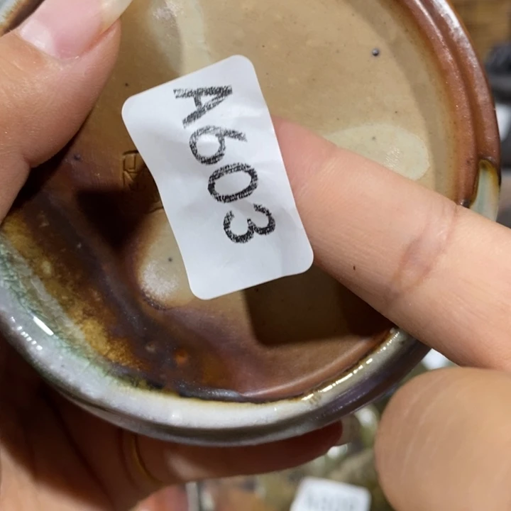 胡***杨其他柴烧茶器福利