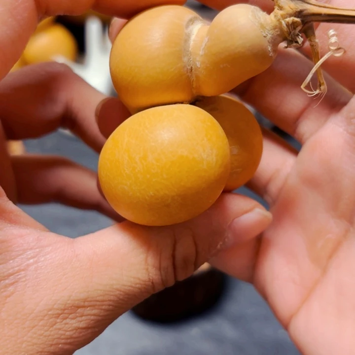 牵**88888888888888888888