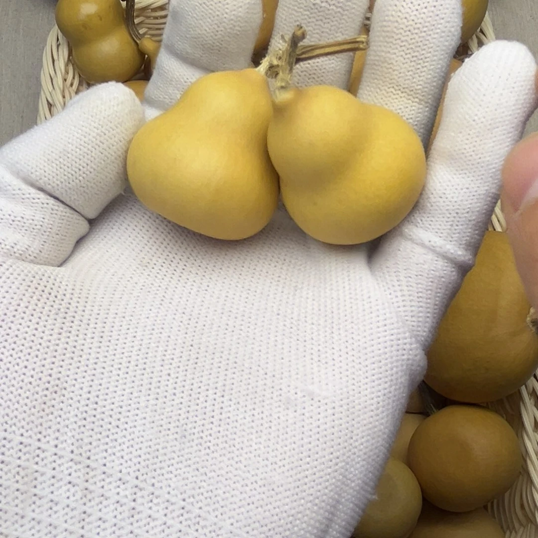 9 葫芦不退不换介意勿拍