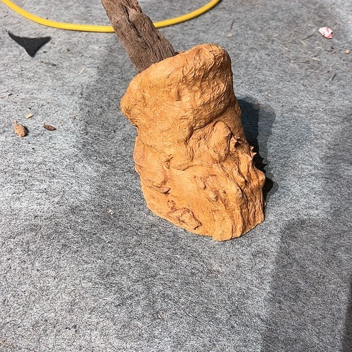 荔枝木惜**藏荔枝木毛料