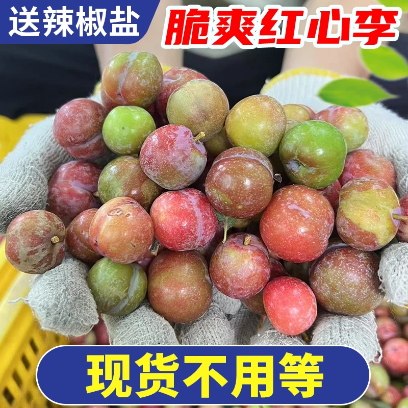 【现货】广东三华李红心李酸涩爽脆李子新鲜当季应季水果早红心李子