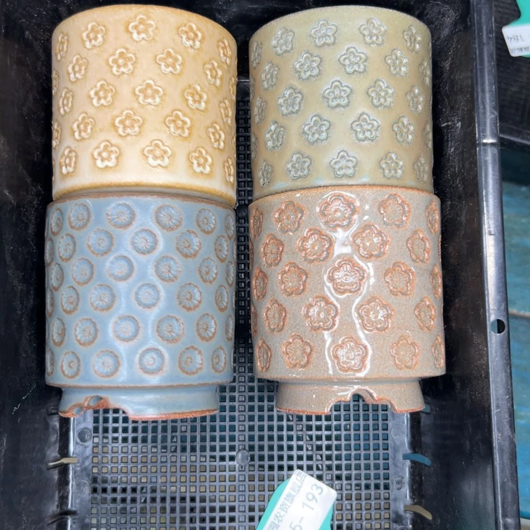 多肉一物一拍0115/193