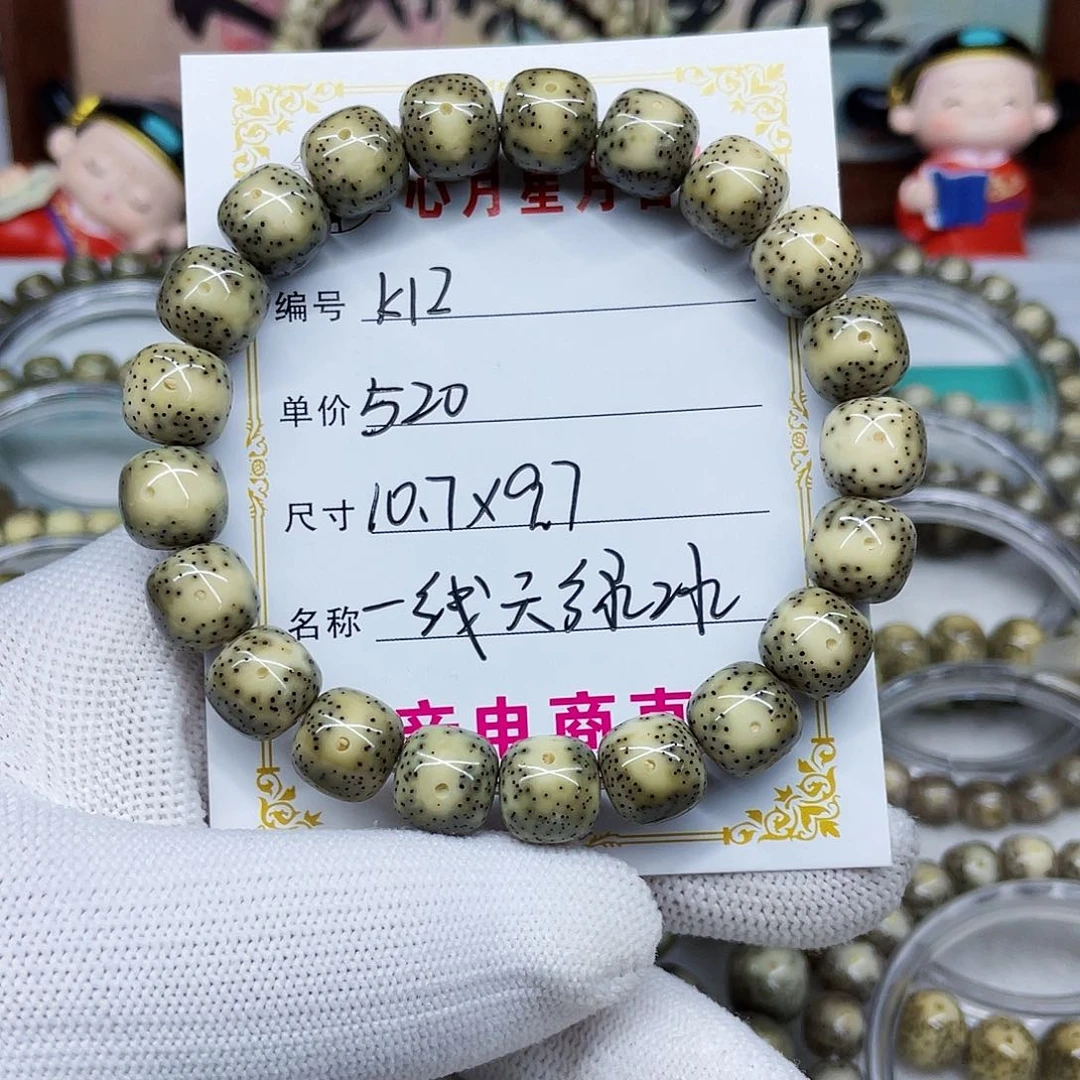 海南心月星月菩提k12