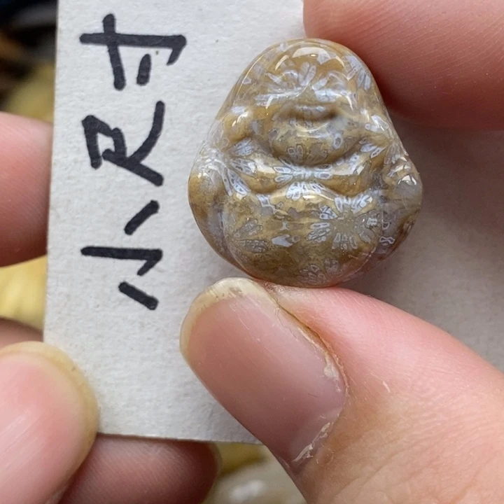 硅化珊瑚（珊瑚玉）未镶嵌颈饰