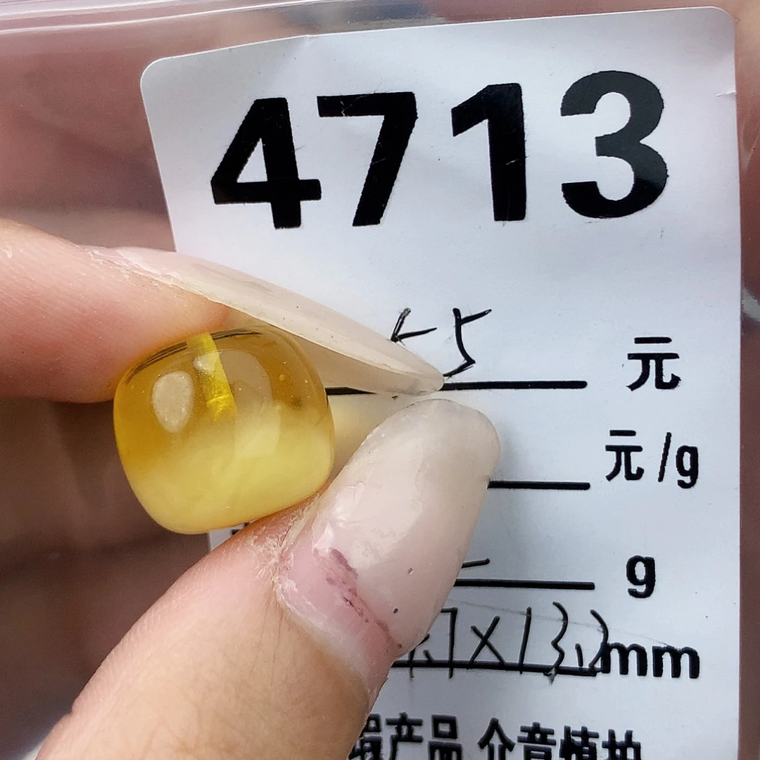 琥珀未镶嵌珠宝奇石14.7×13.2植物