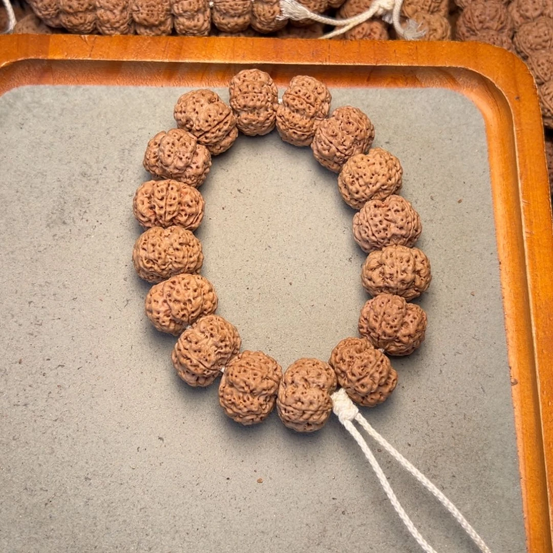 菩提43号金刚菩提矮桩梅花22