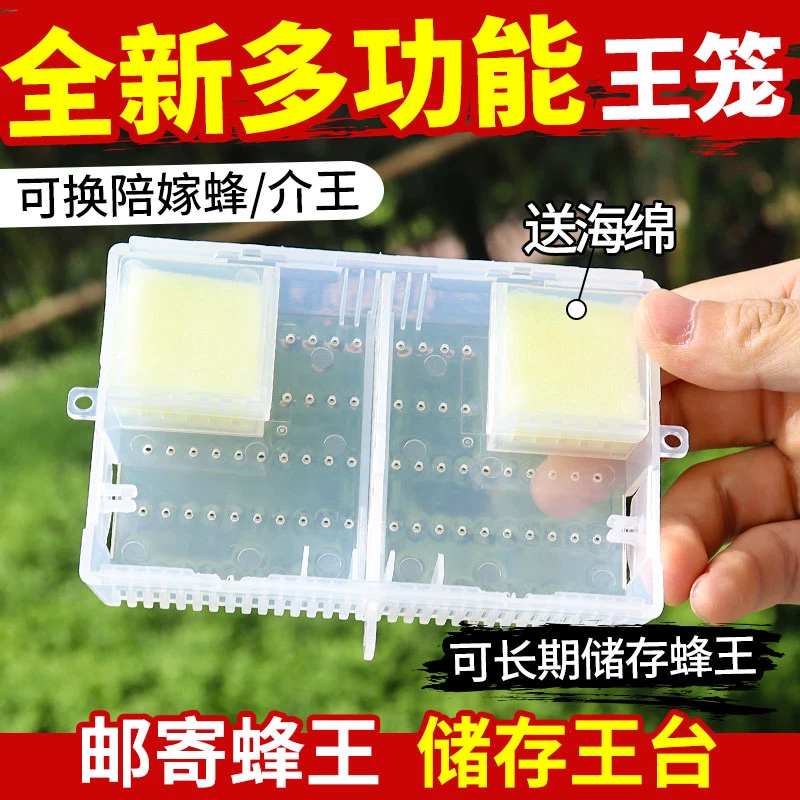 多功能王笼长期储存蜂王邮寄蜂王介王储存王台加大王笼中蜂意蜂用