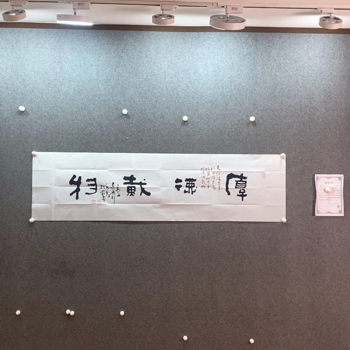书法书法作品多次参加全国
