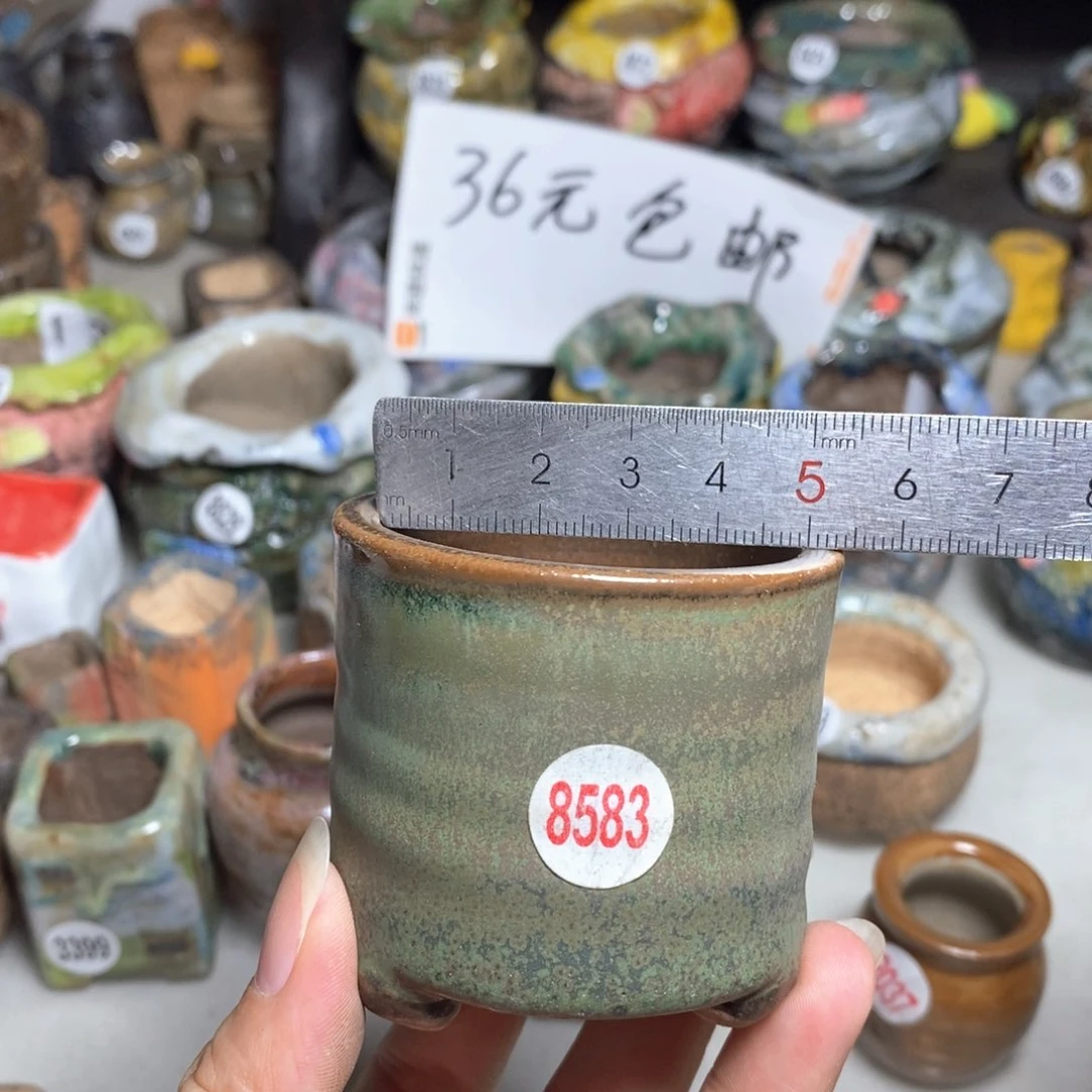 拍四送一个同款，