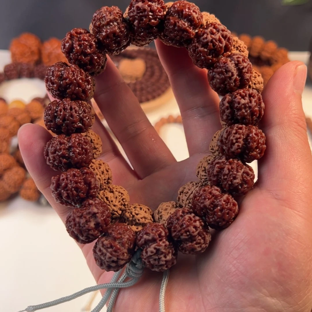 金刚菩提手串原生态梅花双龙超头19