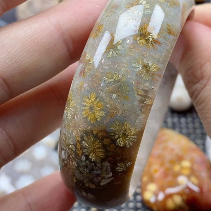 硅化珊瑚（珊瑚玉）颈饰未镶嵌