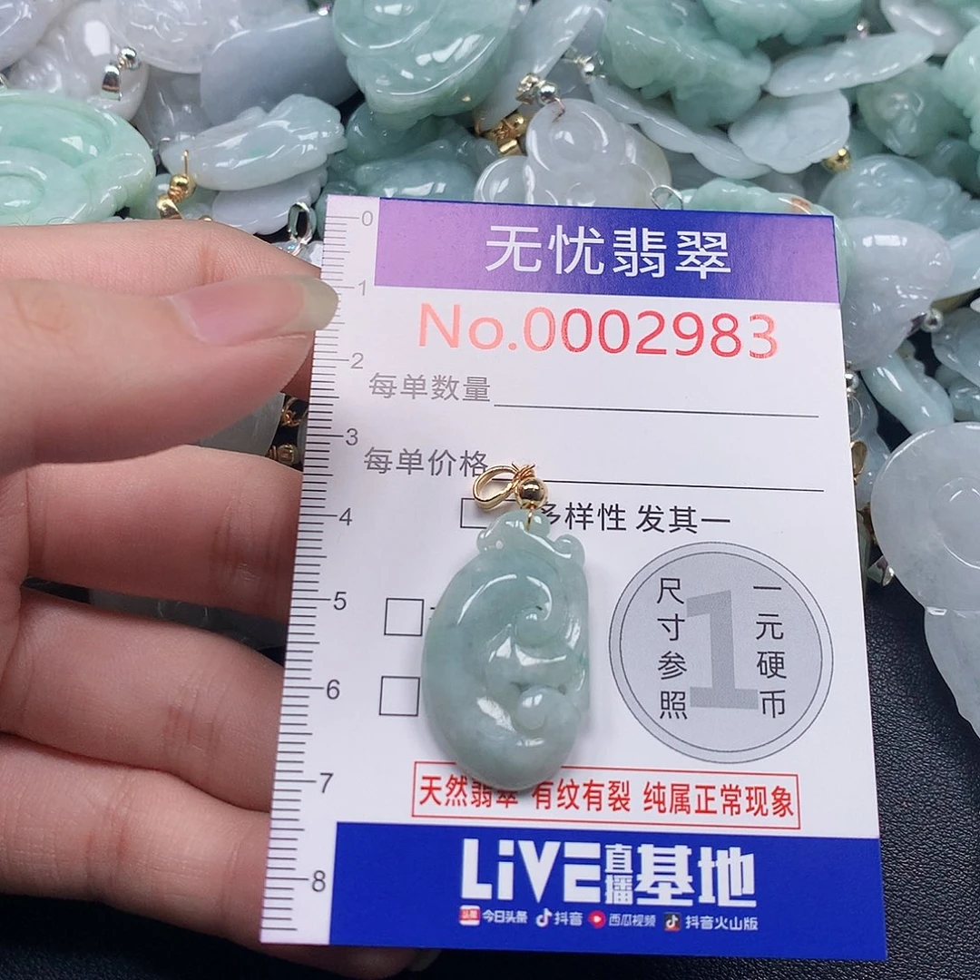 颈饰未镶嵌翡翠h