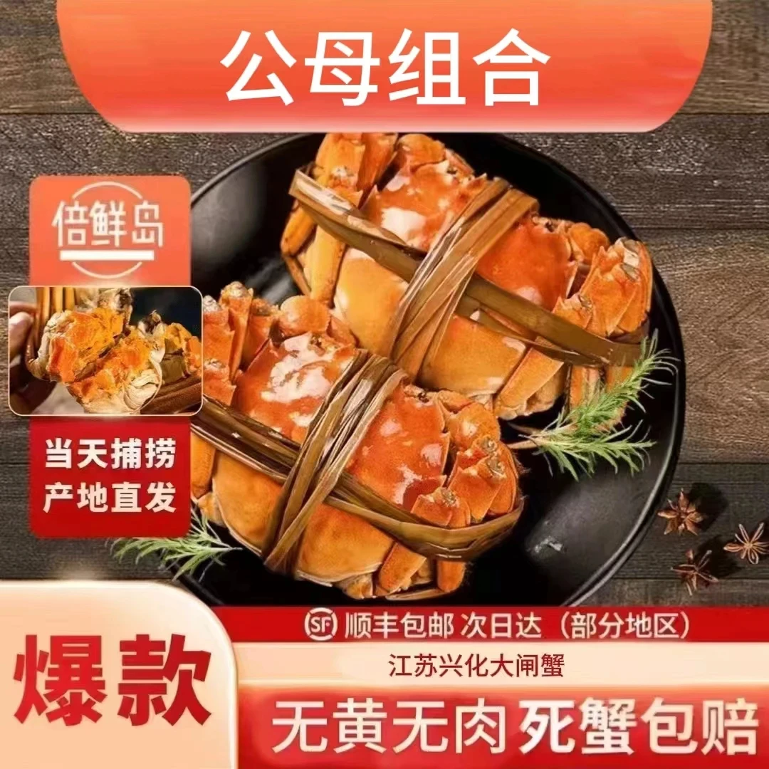 【活蟹】公3.5两4只/母2.5两4只（公3.5-3.3/母2.5-2.3两兴化大闸蟹