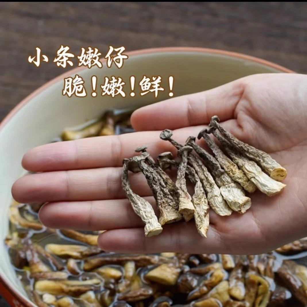 【小条嫩仔鹿茸菇】鹿耳菇干货特产级鹿茸菌脆脆菇食用菌新鲜煲汤