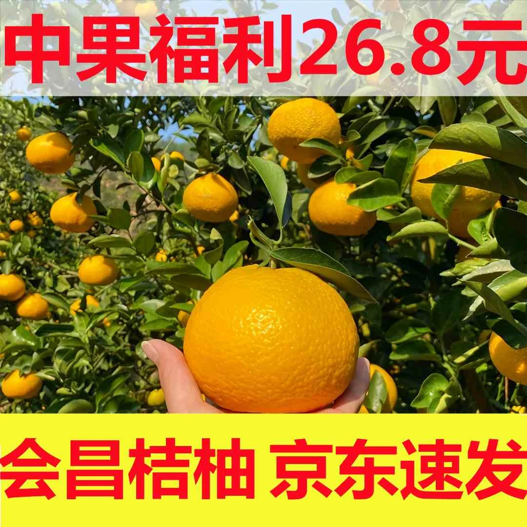 【橙子姐福利】会昌桔柚【京东包邮】赣南5斤新鲜薄皮水果纯甜无酸