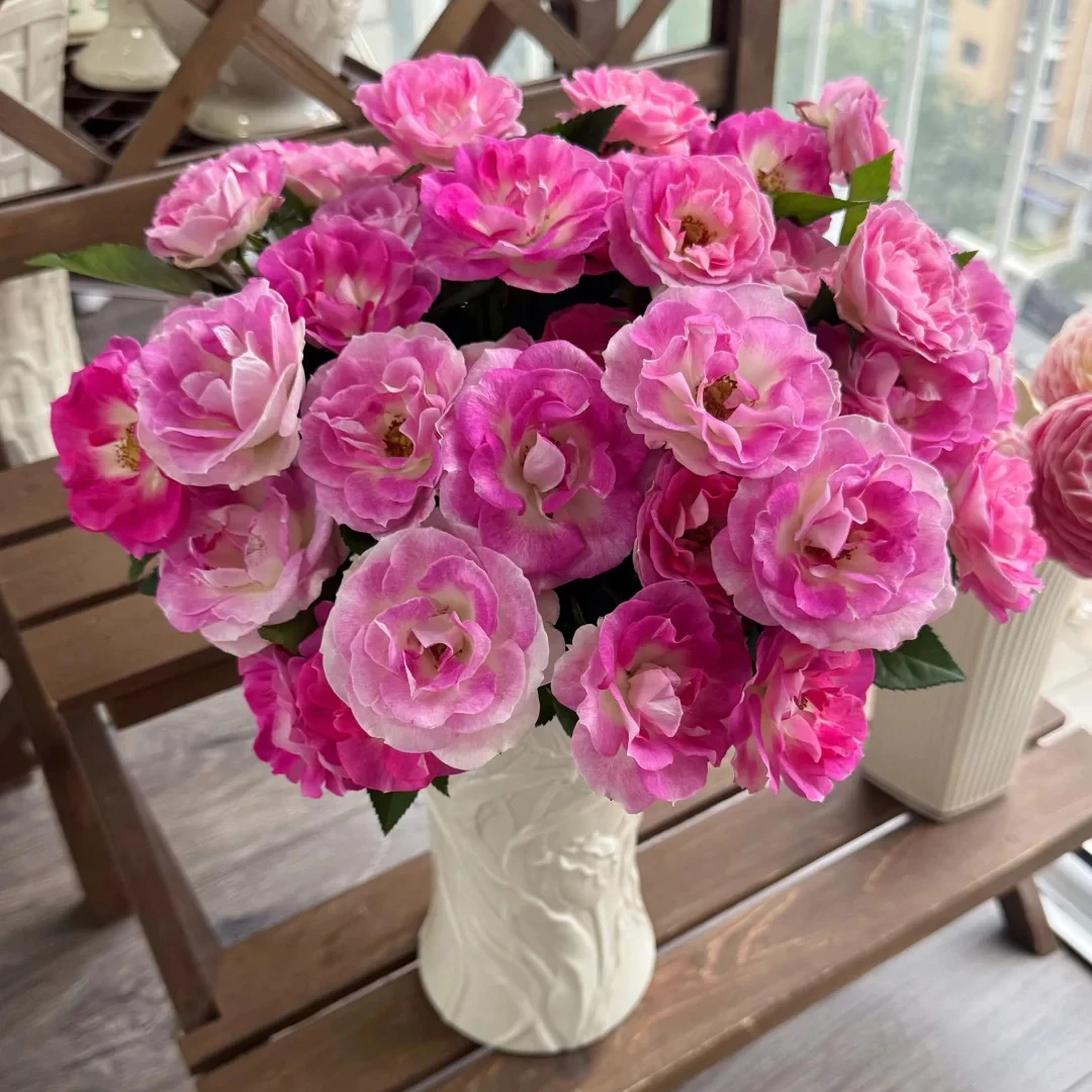 云花巷#【青慕谷小众品种】鲜花优选 顺丰直发