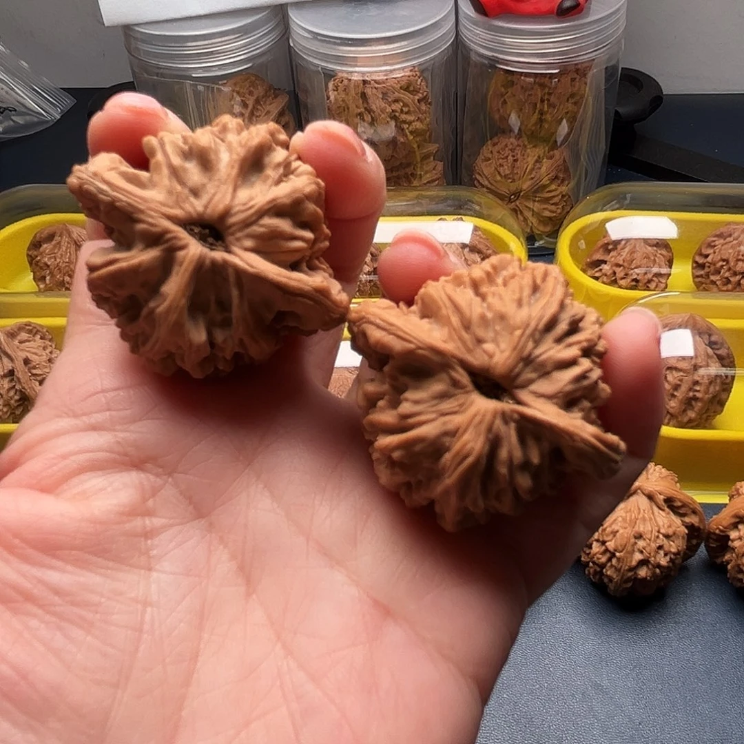 核桃41尺寸麦穗虎头