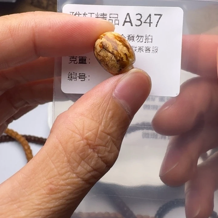 裸石琥珀未镶嵌琥珀