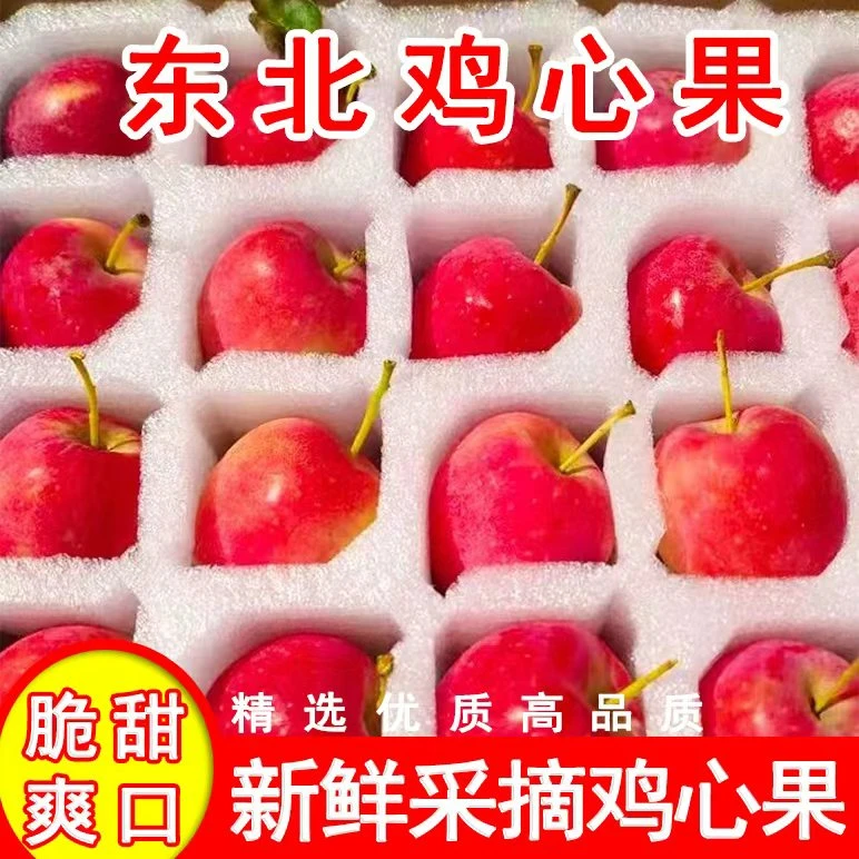 现货批发】正宗东北鸡心果新鲜锦绣海棠果大果海棠果沙果酸甜脆