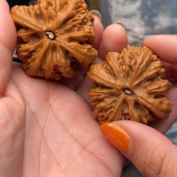 文玩核桃把件虎头王48尺核桃