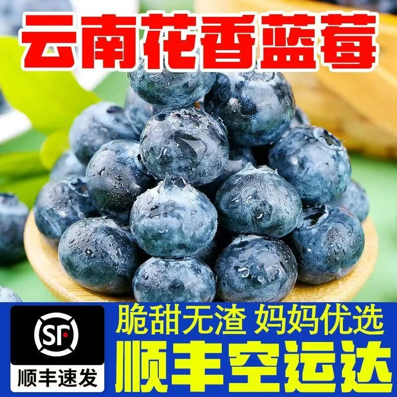 澄江基地直发新鲜果王花青素大蓝莓水果25纯甜现摘现发顺丰空运