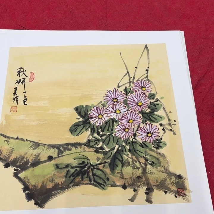 国画花鸟的翅膀是一个巨大的